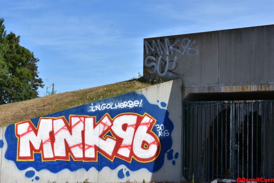 2026-07-07 009.JPG