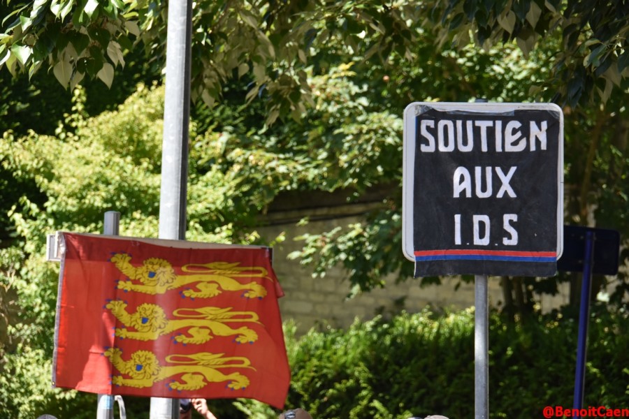2025-07-09 207.JPG