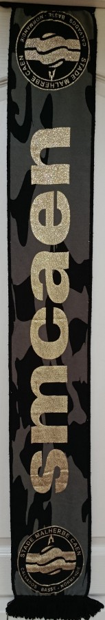 Blason Pepsi (5).jpg