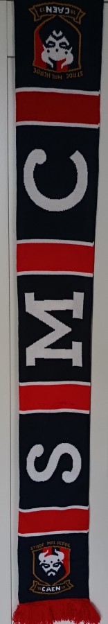 Blason Viking (3).jpg