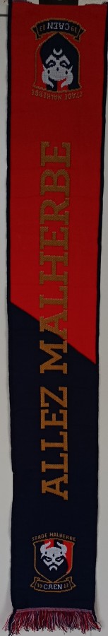 Blason Viking (4).jpg