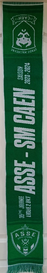 Saint-Étienne-Caen 2023-2024 (35ème J Ligue 2).jpg